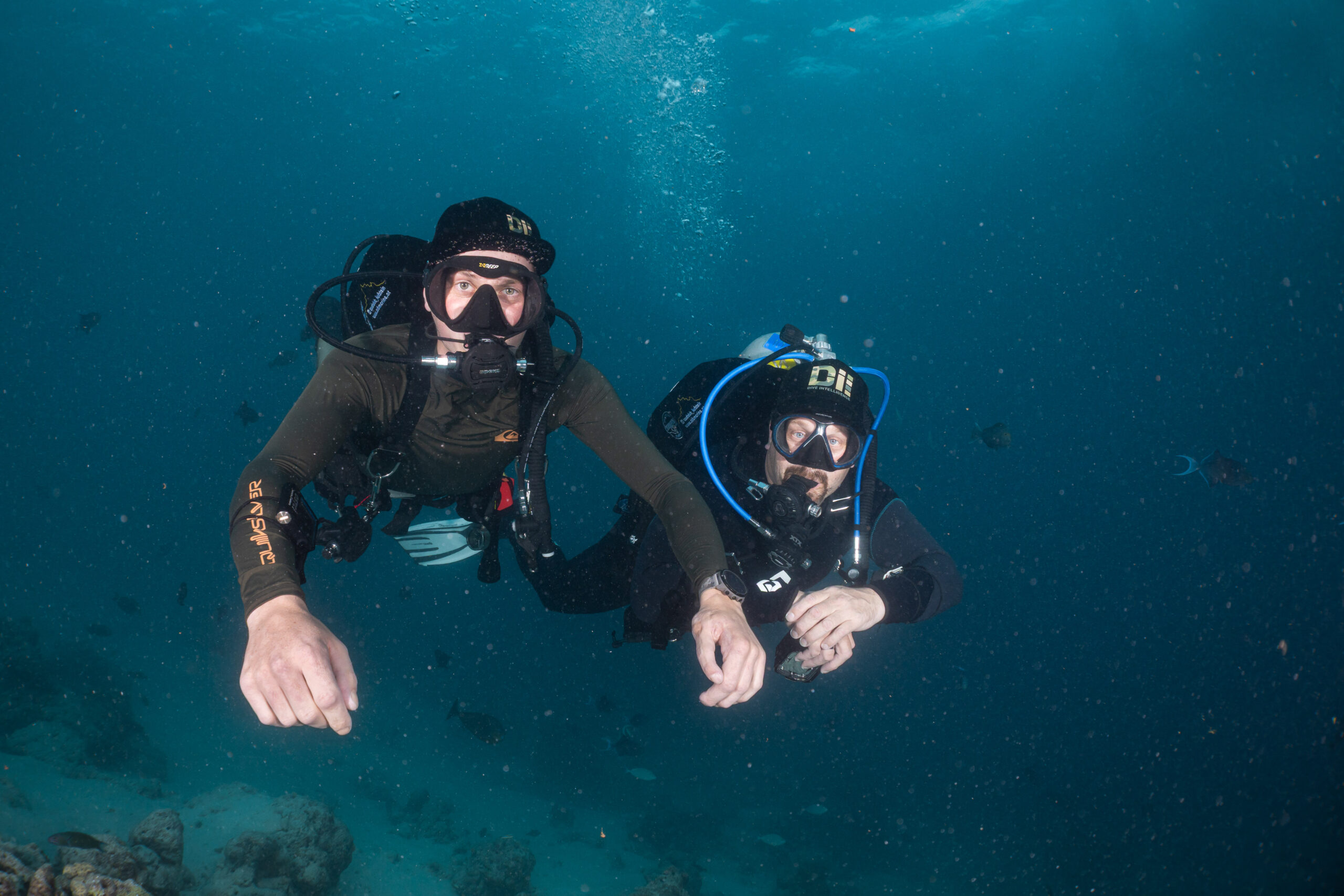 20250925 - AFR04809 - Alimata Nurse Sharks